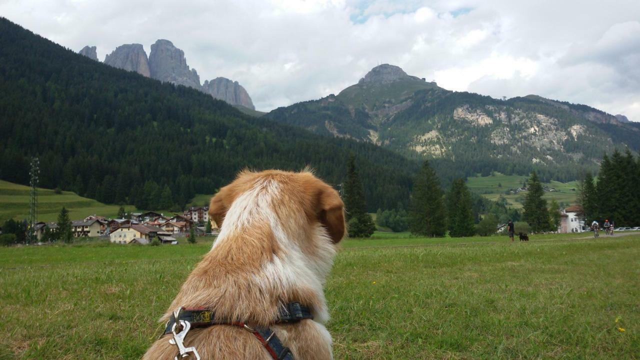 Casamau Trilo Apartment Campitello di Fassa Luaran gambar