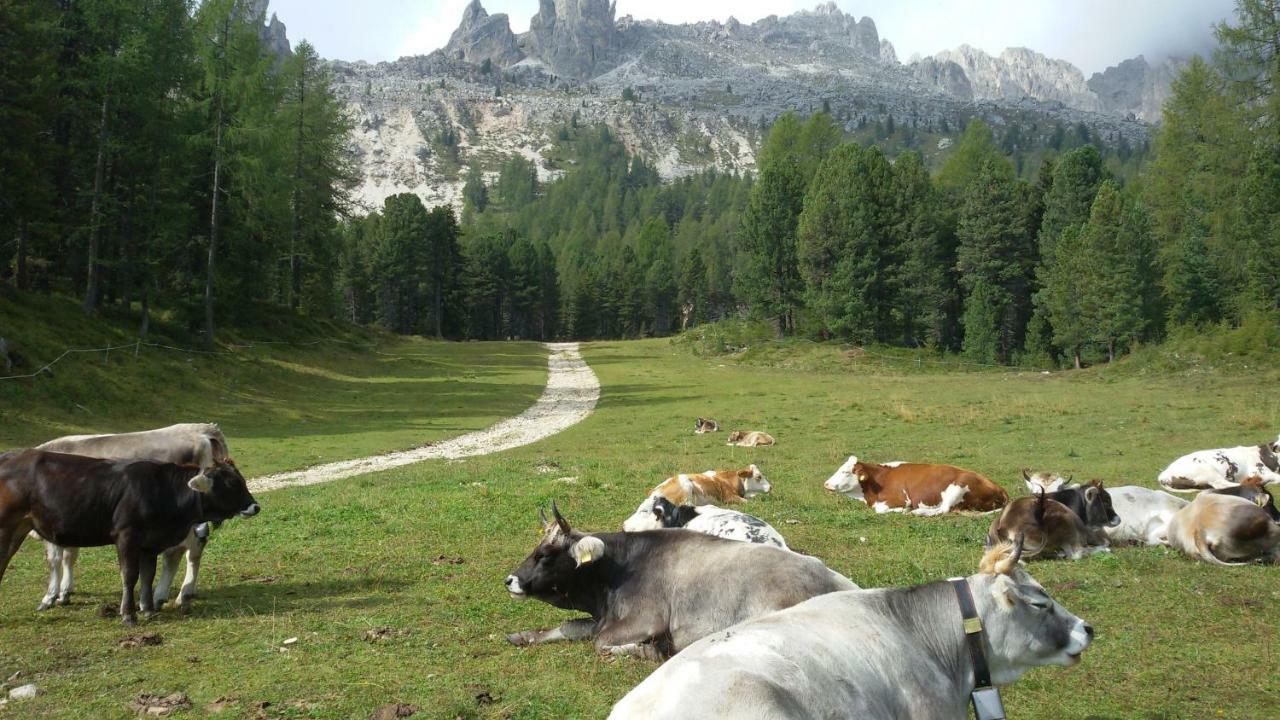 Casamau Trilo Apartment Campitello di Fassa Luaran gambar